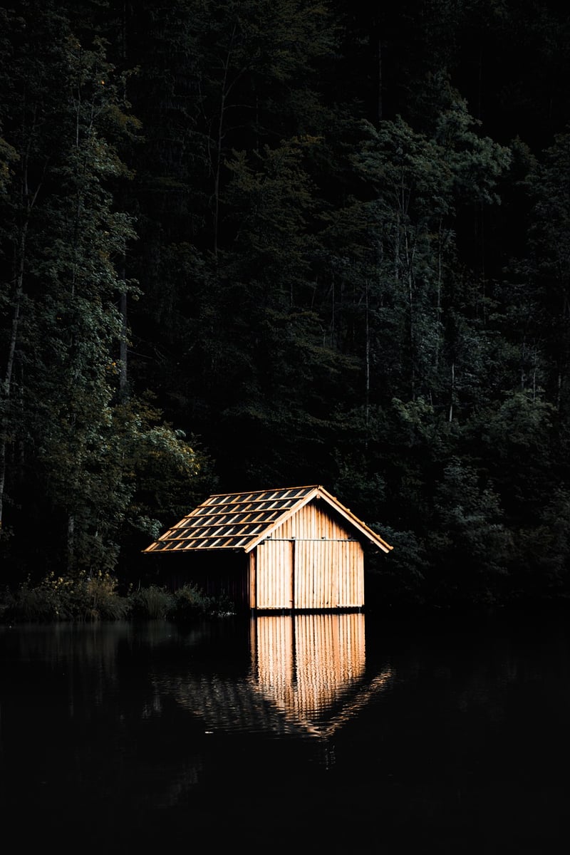 Cabin in the woods